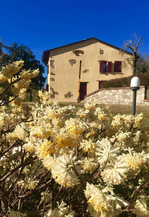 فندق Rosy25 San Michele  المظهر الخارجي الصورة